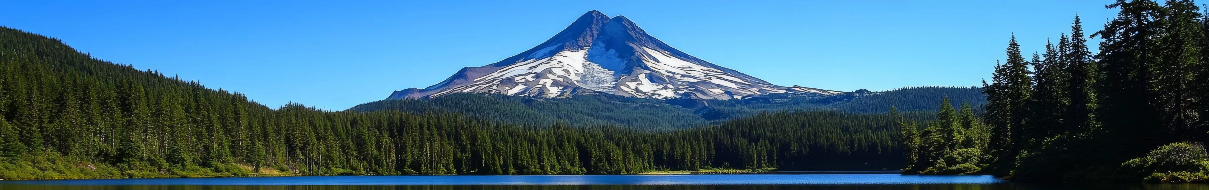 electrical contractor cluff electric image